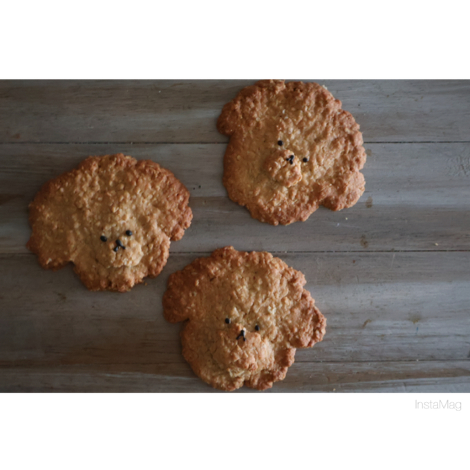 ワンちゃんのオートミールクッキー